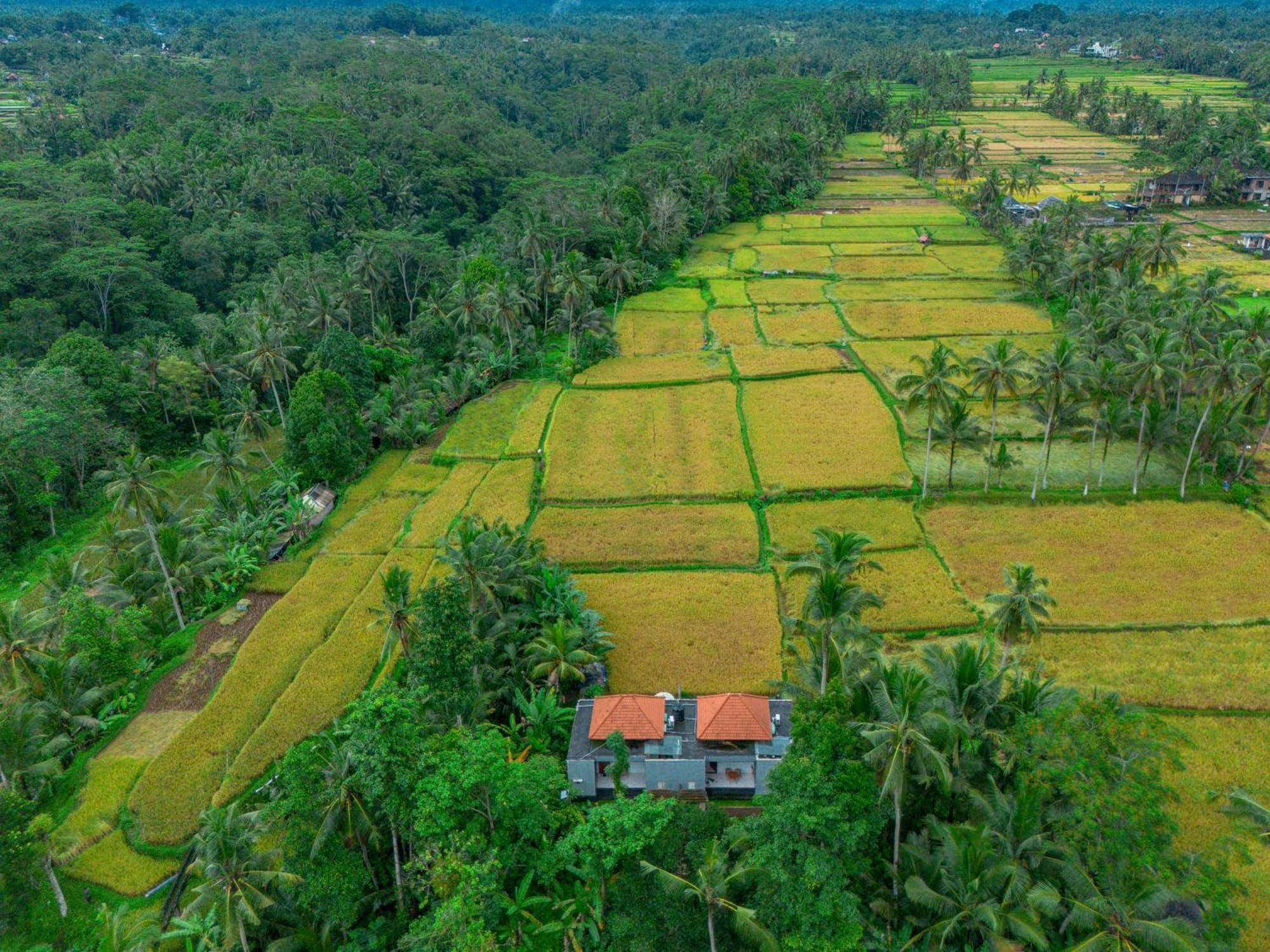 The Alus Cottage And Villa Ubud  Ngoại thất bức ảnh