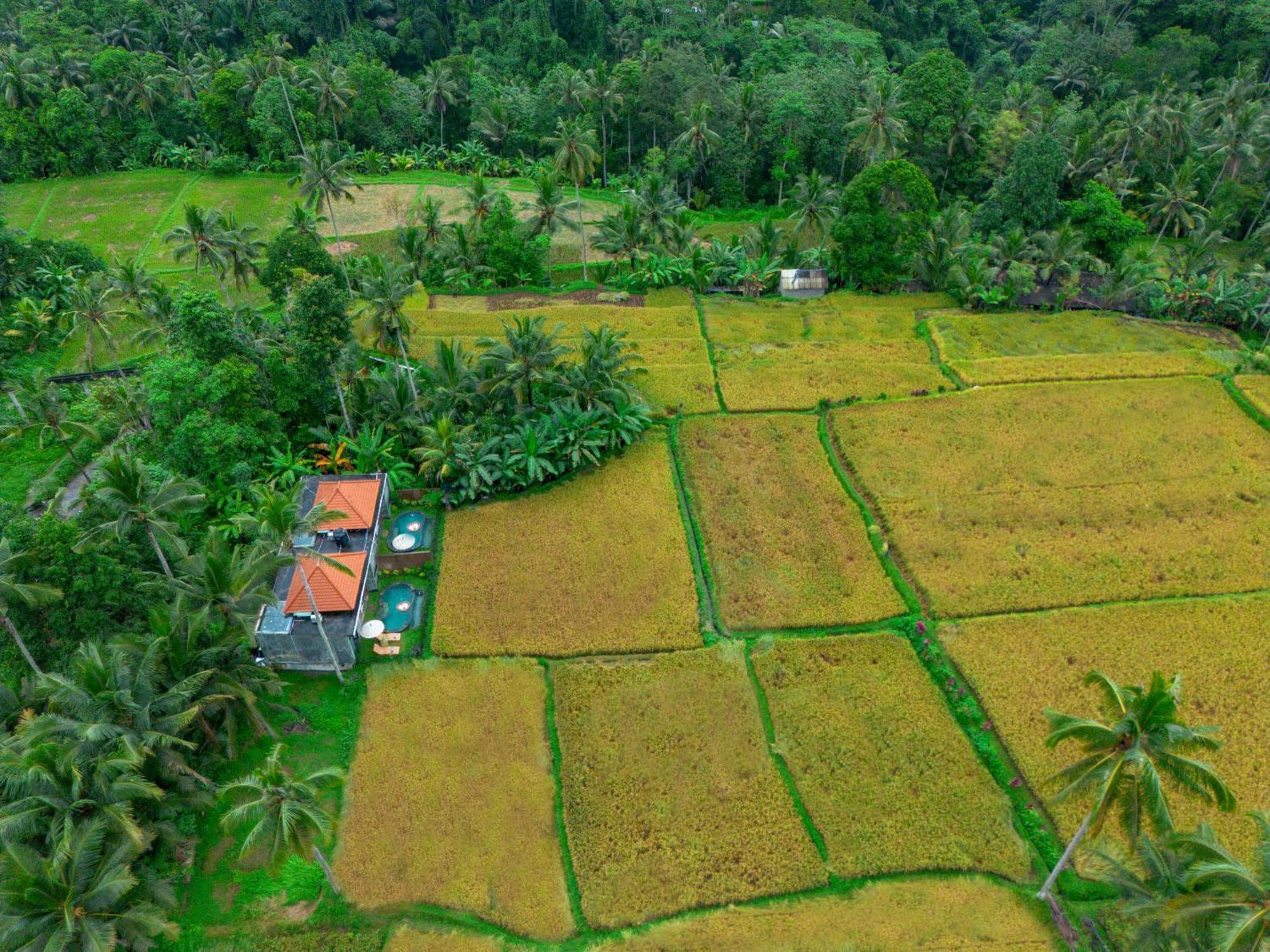 The Alus Cottage And Villa Ubud  Ngoại thất bức ảnh