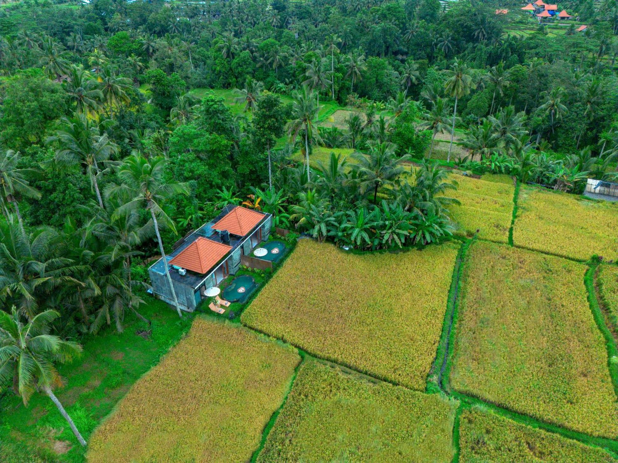 The Alus Cottage And Villa Ubud  Ngoại thất bức ảnh